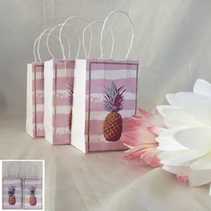 TROPPO MINI KRAFT BAGS 7.5x12.5CM PACK OF 3