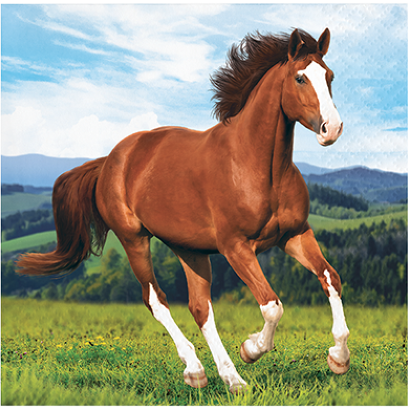 Horse and Pony Beverage Napkins