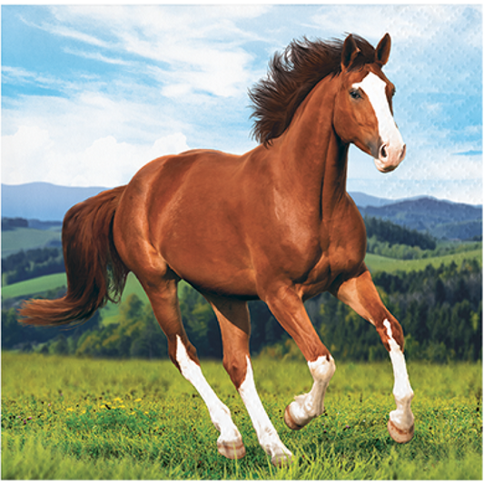Horse and Pony Beverage Napkins – Pack of 16 Paper Party Napkins (25cm x 25cm Unfolded)