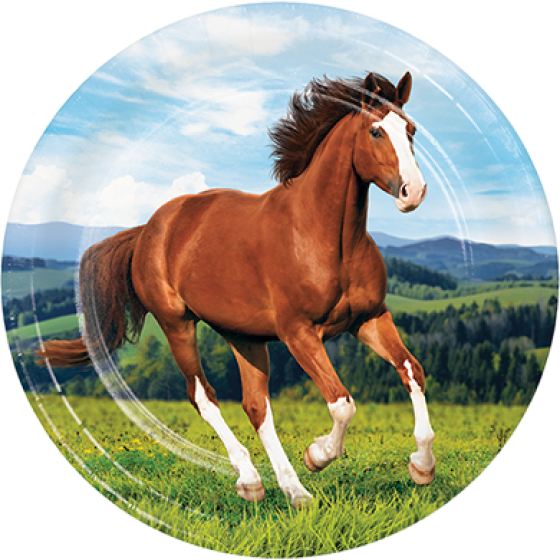 Horse and Pony Dinner Plates Paper 22cm