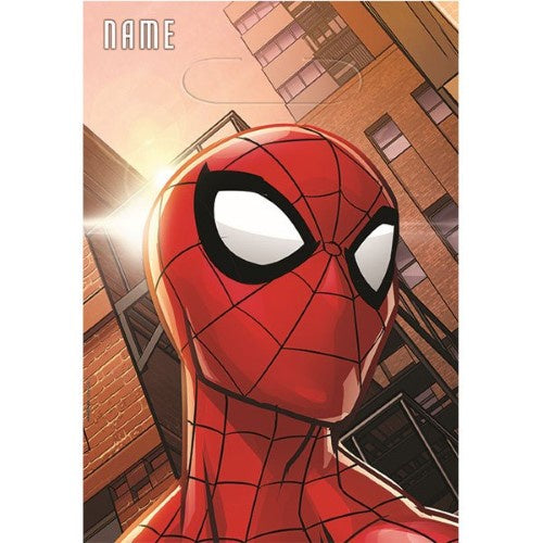 Spiderman Web Wonder Loot Bags Pack Of 8