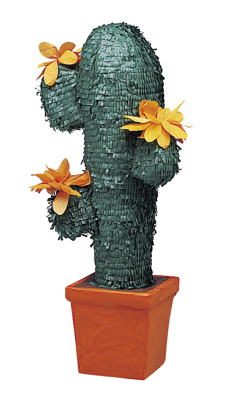 Pinata Cactus