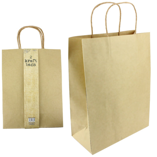 Large Brown Kraft Bag Pack Of 2