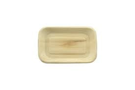Eco Friendly Palm Tray Platter 24x16cm Pack Of 6