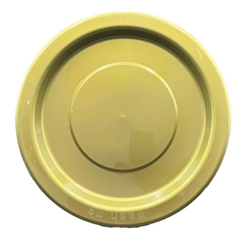 Dinner Plate Gold Pack of 20