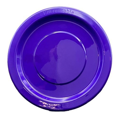 Dinner Plate Purple Pack of 20