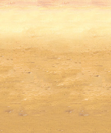 BACKDROP WALL- DESERT SAND