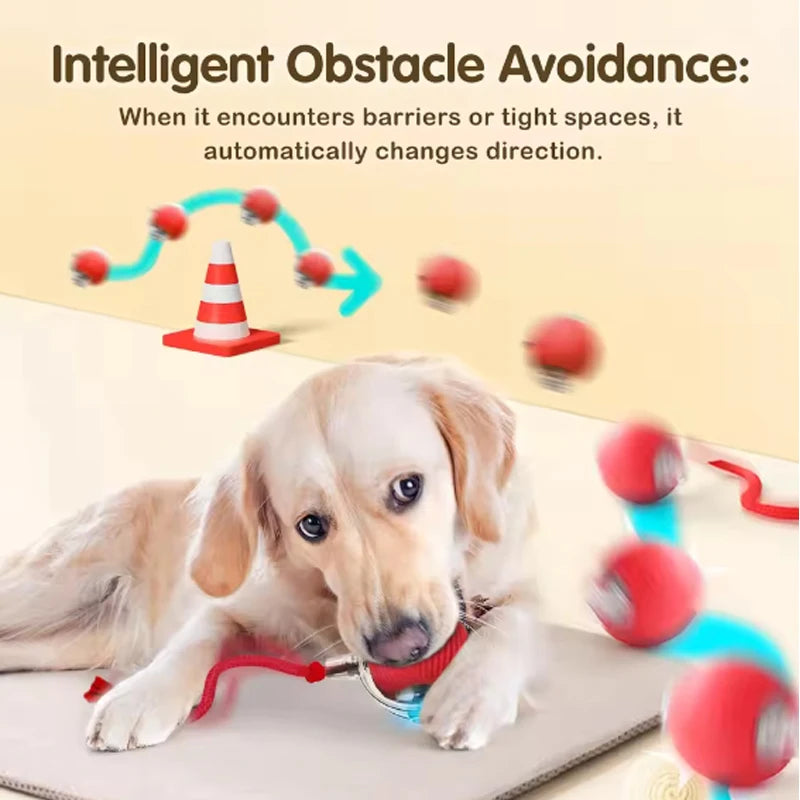 Cat interactive training automatic moving ball kitten electric ball toy automatic rolling magic ball toy cat