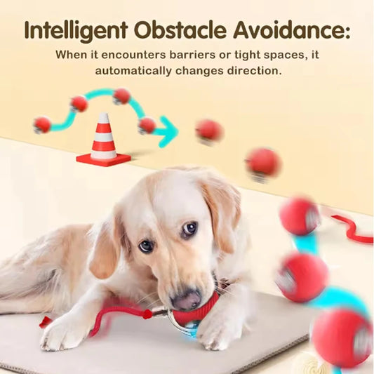 Cat interactive training automatic moving ball kitten electric ball toy automatic rolling magic ball toy cat