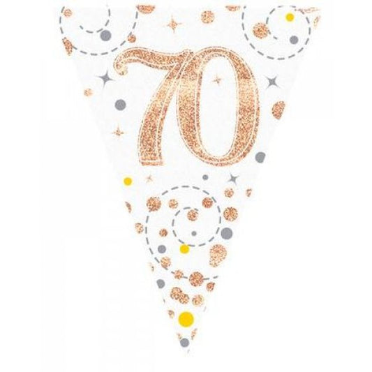 Sparkling Fizz Rose Gold Flag Banner 3.9m #70