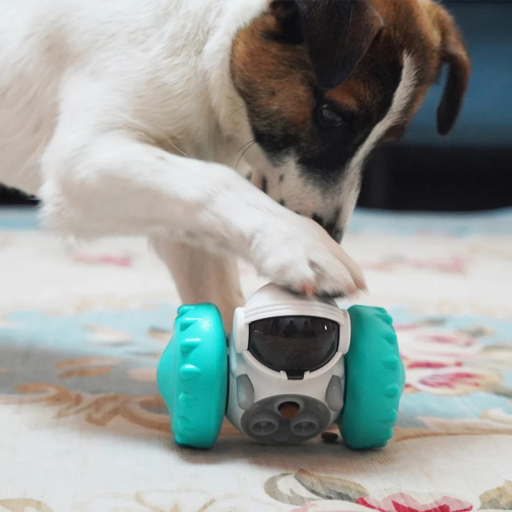 Interactive Dog Toy for Small Medium Large Dogs Cats Leaking Food Puppy Slow Feeder Pet Treat Dispenser Toys Chihuahua Supplies