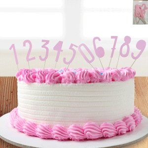 Pink Party Number Picks (0-9)