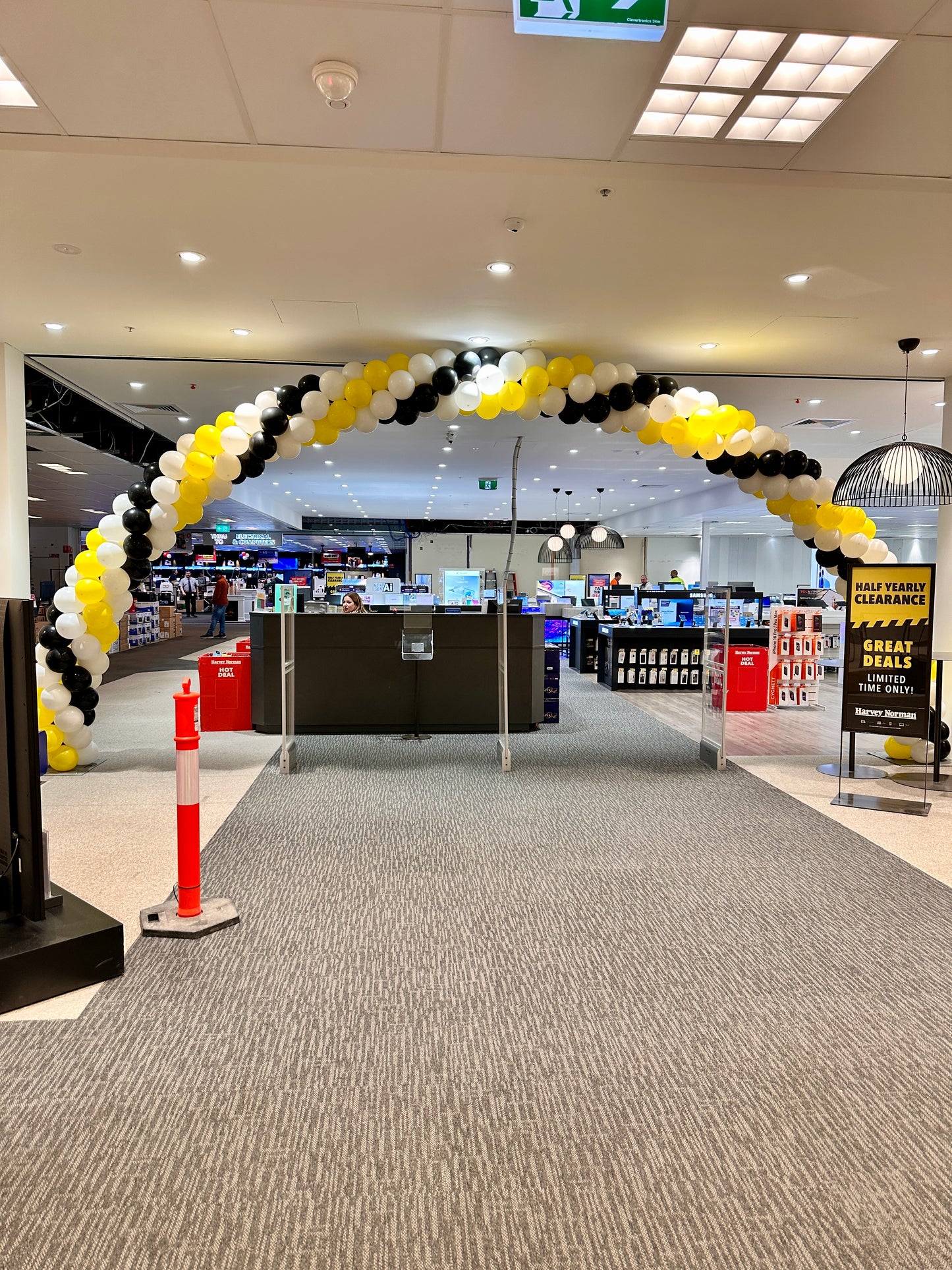 Balloon Arch #102