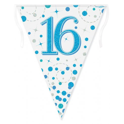 Sparkling Fizz Blue Bunting 16