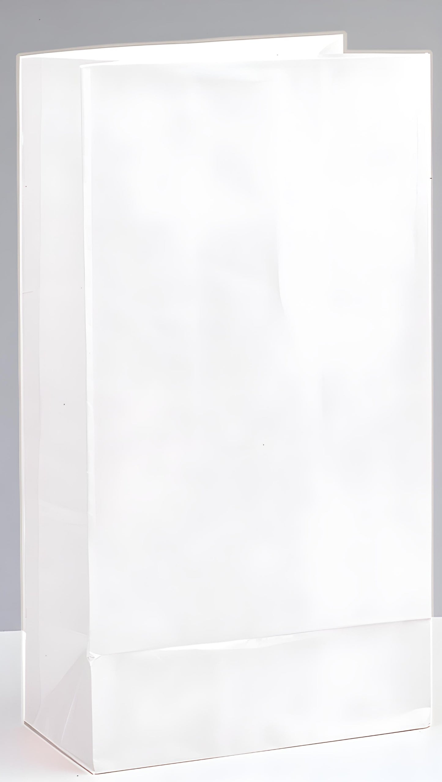 Paper Loot Bags White P12