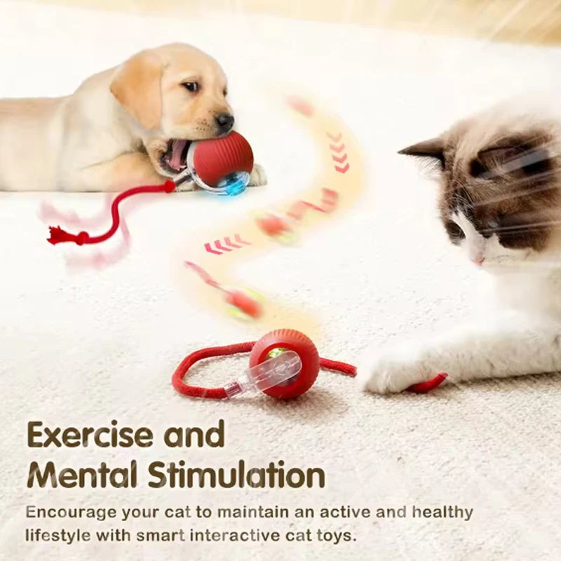 Cat interactive training automatic moving ball kitten electric ball toy automatic rolling magic ball toy cat