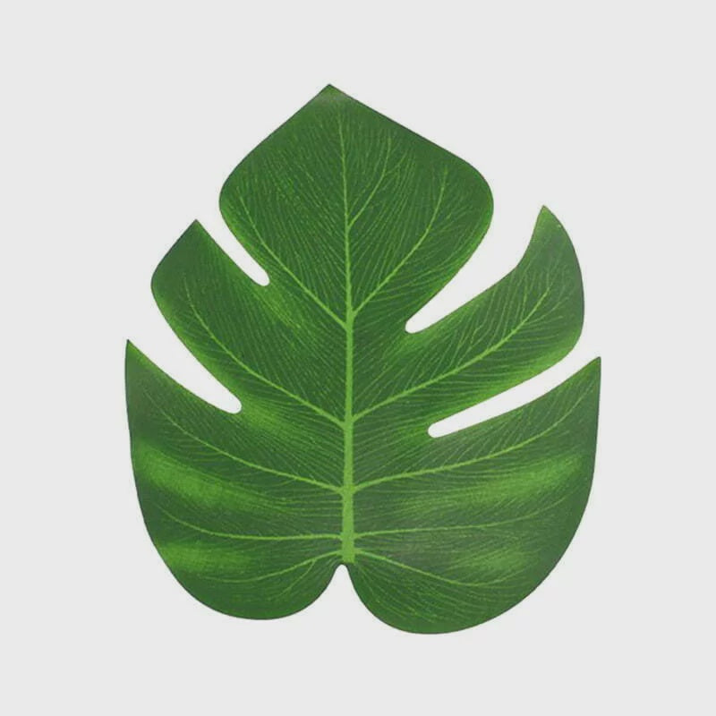 Medium Size Palm Leaves Pack of 12